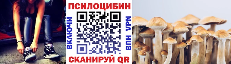 Галлюциногенные грибы GOLDEN TEACHER  Купить закладки  Цоци-Юрт 